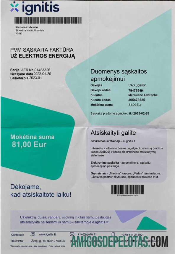 Em branco modelo Word e PDF de conta de serviços públicos LITVA IGNITIS